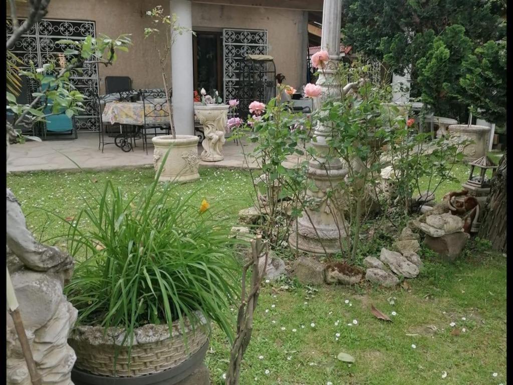 Homestay Refuge Cosy A 2